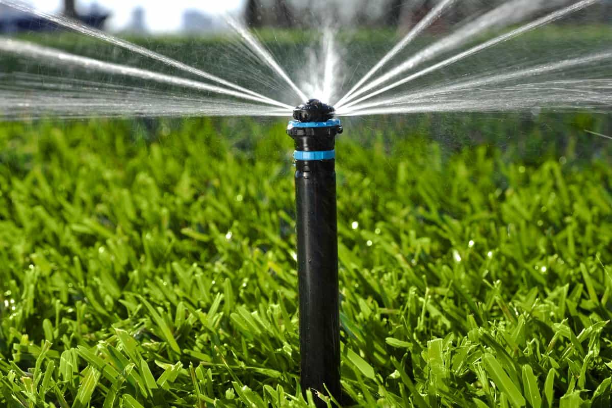  The Price of Foot Irrigation Pump And Power Equipment Muleshoe Tx 