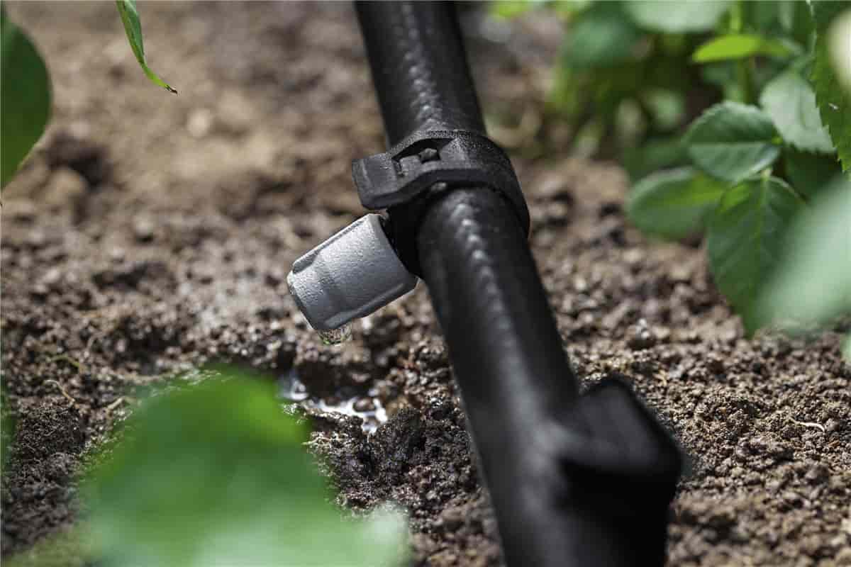  The Price of Foot Irrigation Pump And Power Equipment Muleshoe Tx 