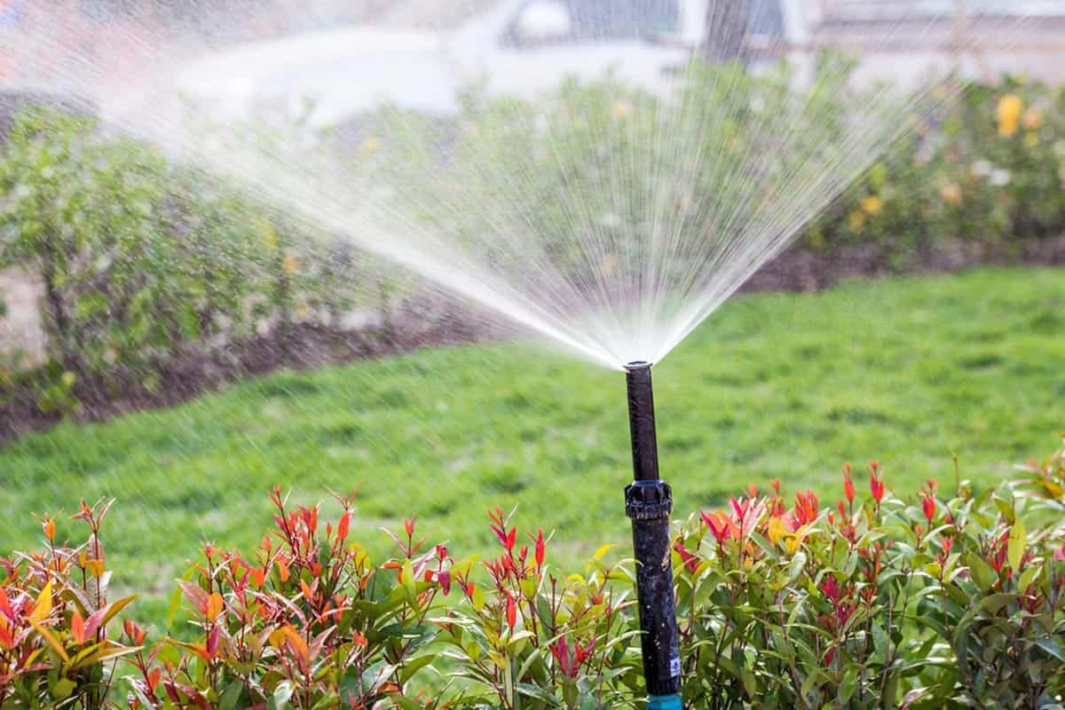  The Price of Foot Irrigation Pump And Power Equipment Muleshoe Tx 