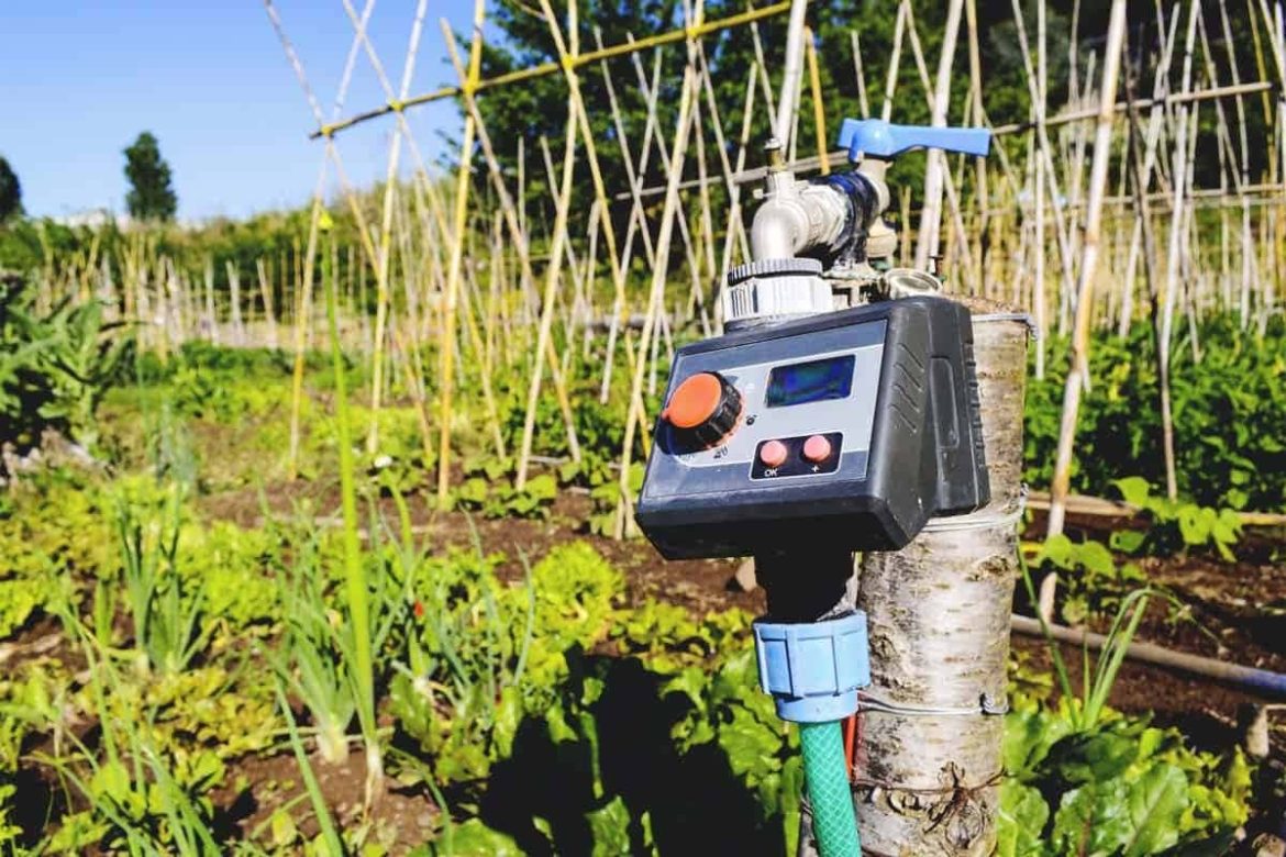 Jet Irrigation Pump 0.5 hp | Reasonable Price, Great Purchase