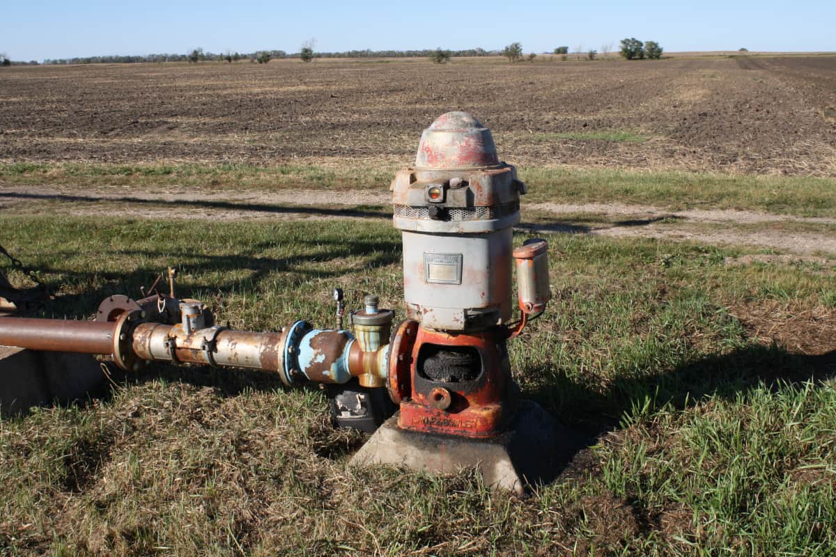  Jet Irrigation Pump 0.5 hp | Reasonable Price, Great Purchase 