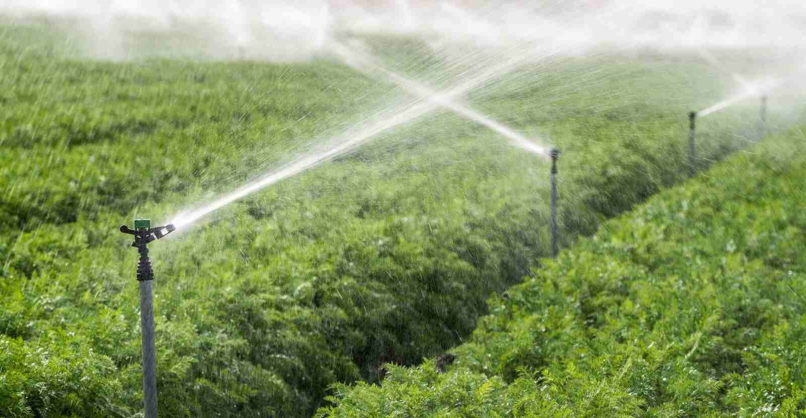 Introducing jet irrigation pump + the best purchase price