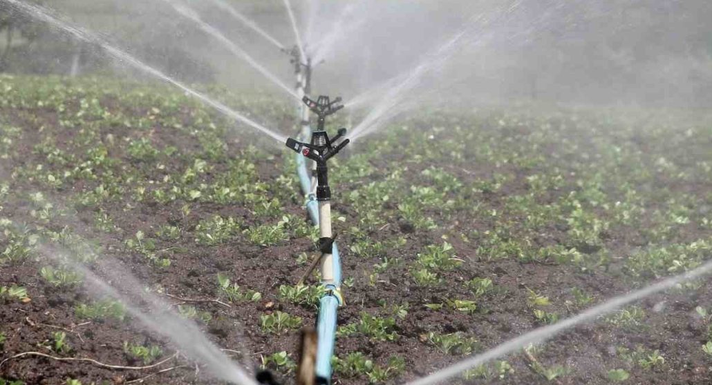 Introduction of diesel irrigation pumps types + purchase price of the day