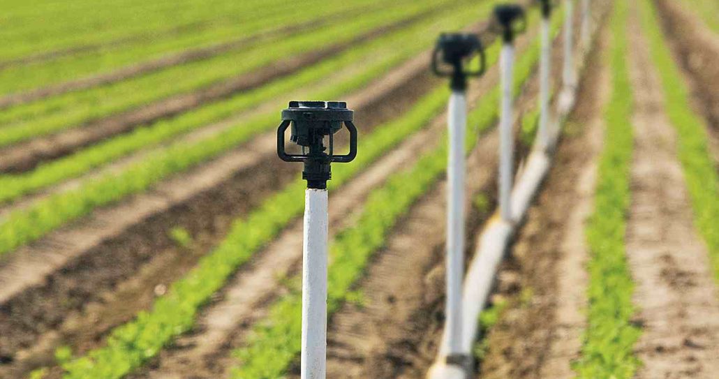 Introduction of diesel irrigation pumps types + purchase price of the day
