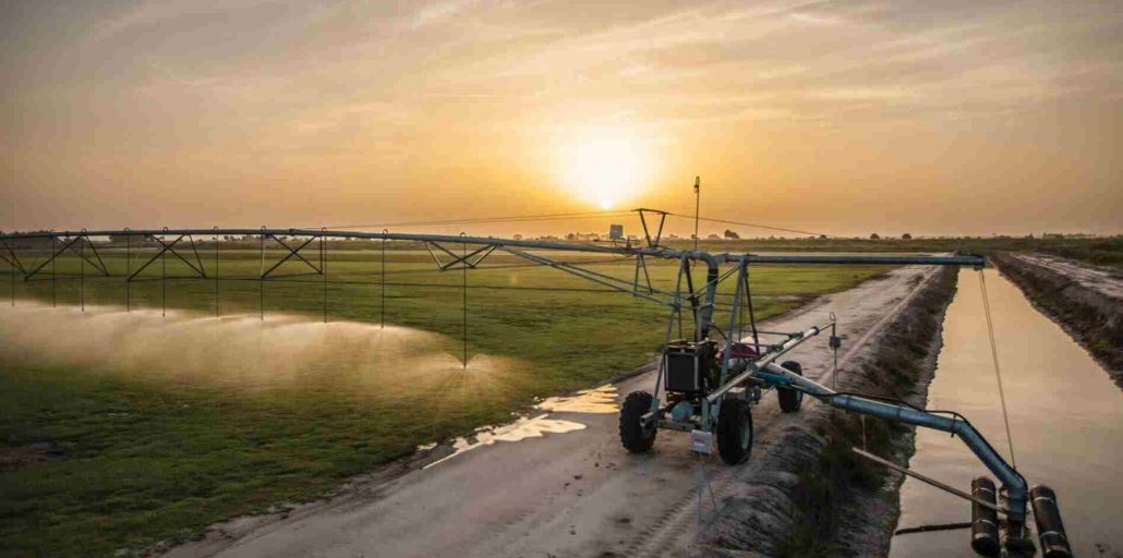 Introduction of diesel irrigation pumps types + purchase price of the day