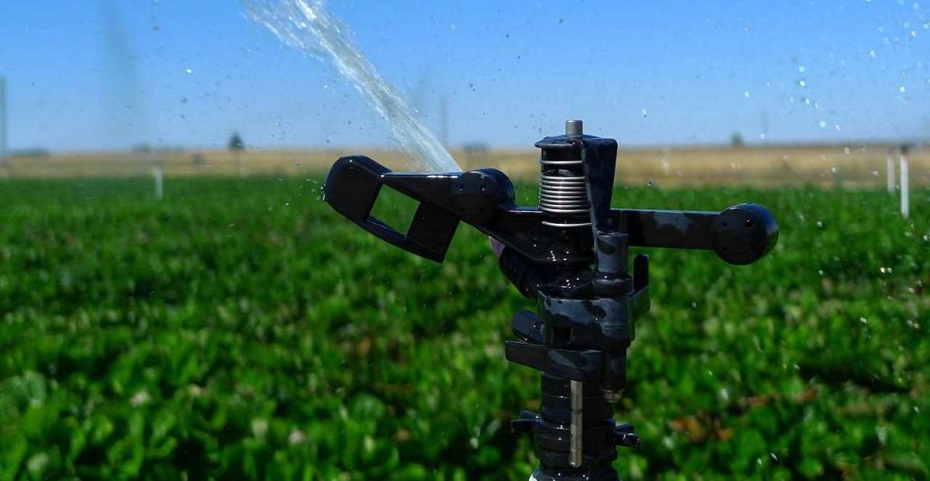 Introduction of diesel irrigation pumps types + purchase price of the day