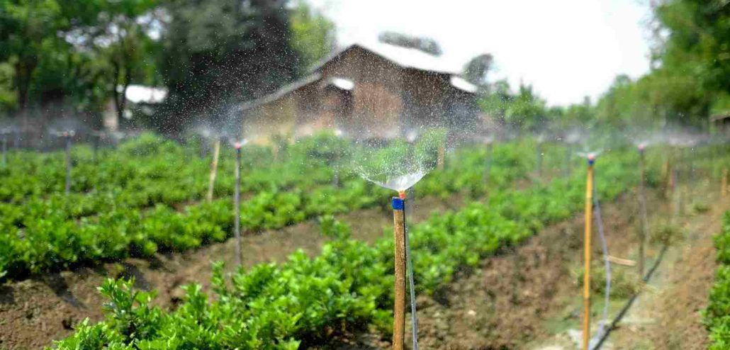 Introduction of diesel irrigation pumps types + purchase price of the day