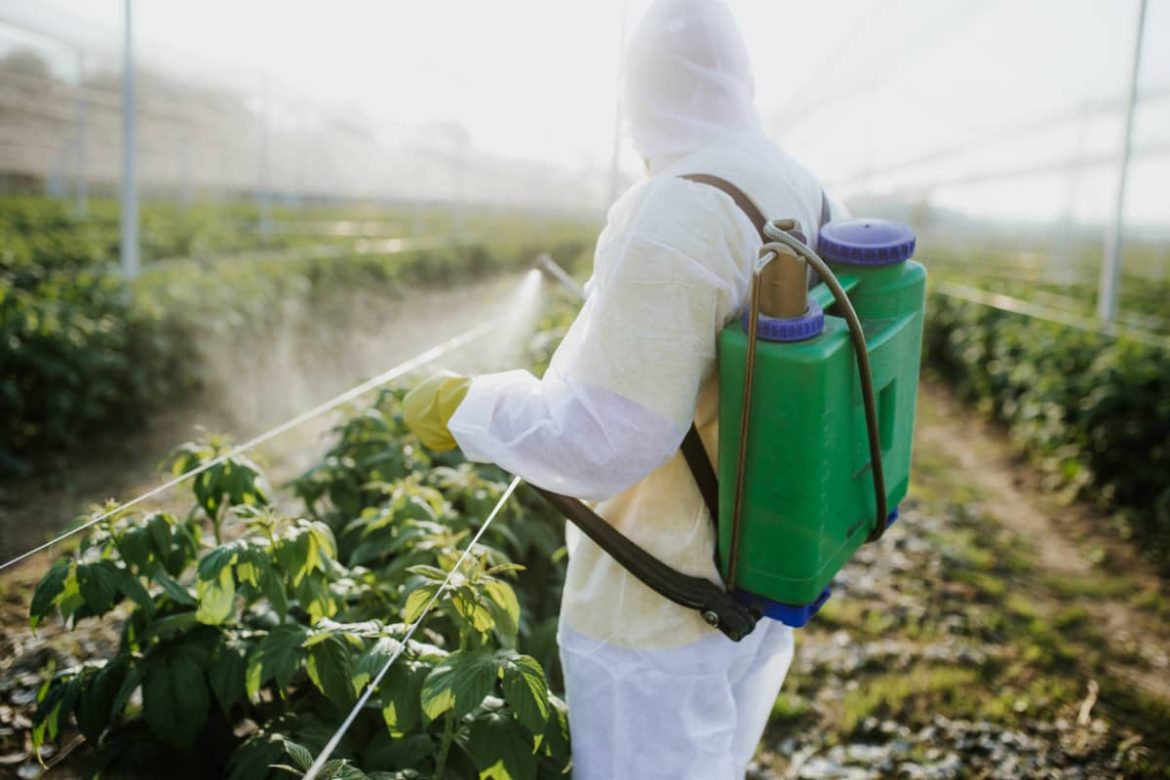 Buying agricultural pump sprayer